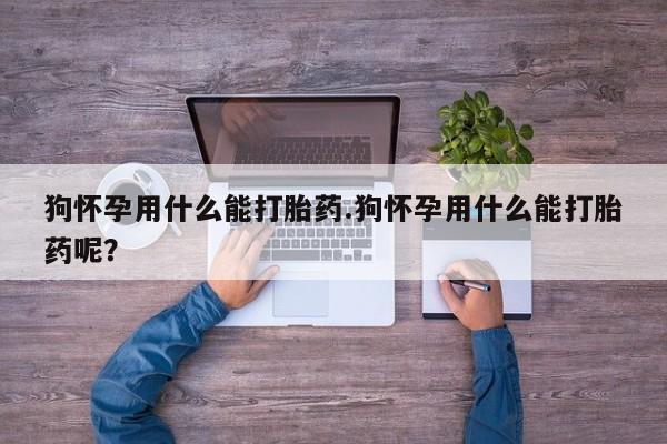 怀孕大月份能不能用米非司酮狗怀孕用什么能打胎药.狗怀孕用什么能打胎药呢？
