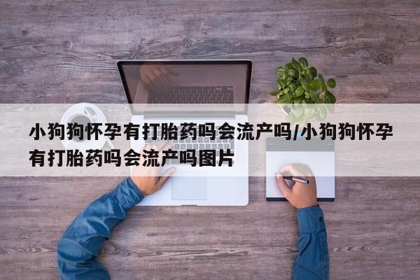 怀孕大月份能不能用米非司酮小狗狗怀孕有打胎药吗会流产吗/小狗狗怀孕有打胎药吗会流产吗图片