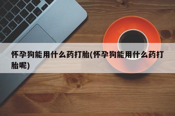 怀孕大月份能不能用米非司酮怀孕狗能用什么药打胎(怀孕狗能用什么药打胎呢)